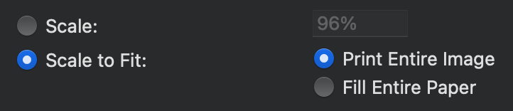 print dialog showing &ldquo;scale to fit&rdquo; option